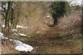 Looking south down the Viking Way towards Caistor