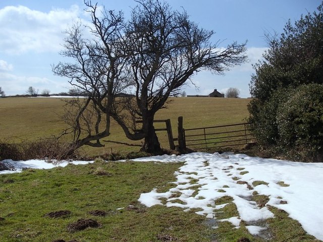 Fields near Bullhill