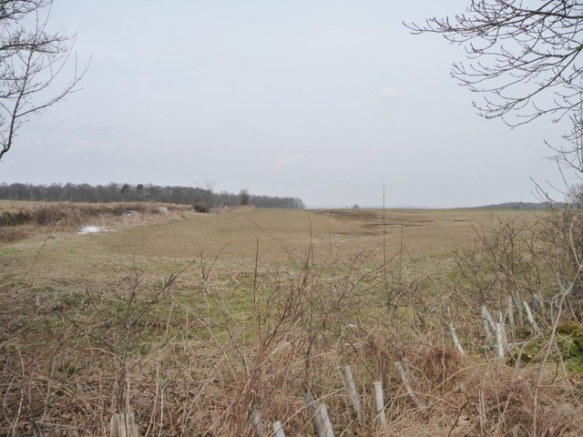 Soggy farmland west of Fortshot House