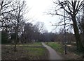 Path in Bush Wood, Wantstead