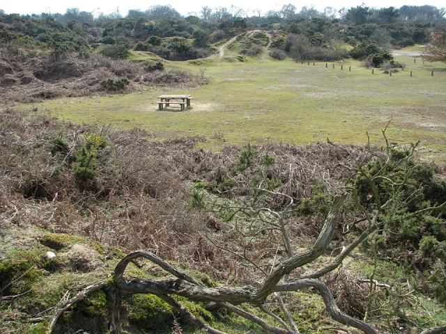 View across the picnic area at Toby's Walks