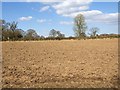 Field off driveway to Pool Farm