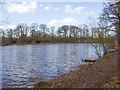 Shrewley Pools