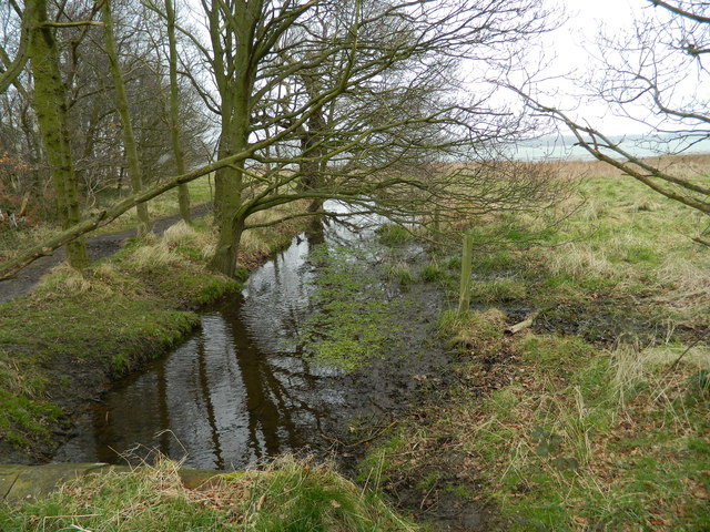 Stream in Wolverstone Park