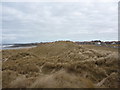 NU2032 : Coastal Northumberland : St Aidan's Dunes, near Seahouses by Richard West