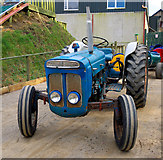 C1909 : Tractor, Lurgybrack Open Farm by Rossographer