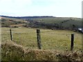 Faccary Townland