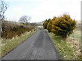 Backglen Road at Faccary