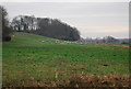 Bales below Hanging Bank Wood