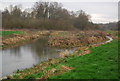 Confluence of the Little Stour and Wingham River