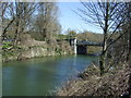 The Feeder Canal 