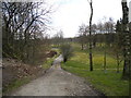 Track to Dirk Farm/Mossley Road