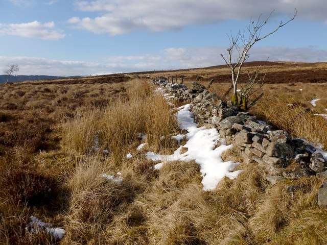 Dry-stone wall