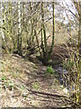 Stream near Hubbard