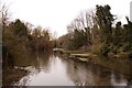 The old watercress beds