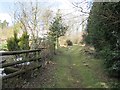 Path into Pound Green Coppice