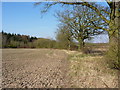 Field boundary & field near White House Farm