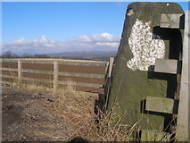 SE2943 : Benchmark (and cat) on a gatepost near Burden Head by John Slater