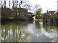 Village pond, Middleton-on-The-Wolds