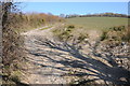 Footpath and track