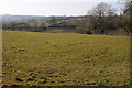 Farmland at Meidrim