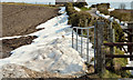 J4176 : Snow, Ballykeel near Craigantlet (2013-2) by Albert Bridge