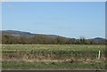 Farmland off the A38