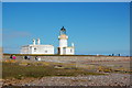 NH7455 : Checking out Chanonry Point Lighthouse by Bill Harrison