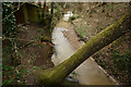 Stream at Bovington, Dorset