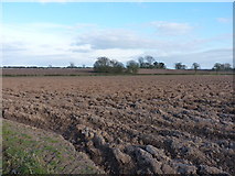 SJ8215 : All ploughed and ready to go by Richard Law