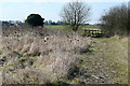 Farmland east of Ascott Farm