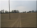 Crossfield section of the Test Way northwest of Forton