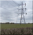 SP7689 : Electricity pylons near the River Welland by Mat Fascione