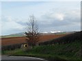 ST0142 : View of Quantocks near Carhampton by nick macneill