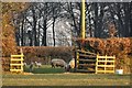 East Devon : Grassy Field & Sheep