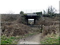 Railway bridge near Forge Close Caerleon