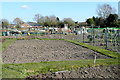 Chalgrove allotments