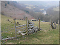SJ1743 : Stile above Hafod-rhisg in the Dee valley by Row17