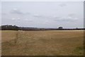 Farmland near Welham Hall