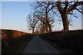 East Devon : Country Road