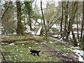 Footbridge across the stream in Causebeach woods