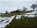 The last bit of bridleway up onto Aston Hill