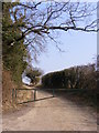 TG1308 : Chapel Farm entrance by Geographer