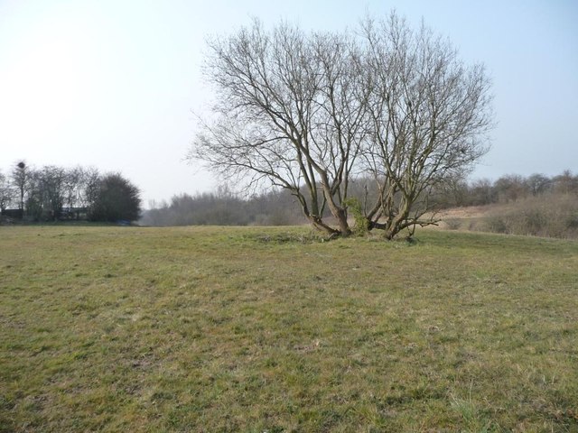 Open land on the west side of Shakerley
