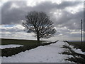 Track towards Moor Farm