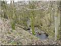 Greenhurst Clough Brook