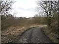 Greenhurst Clough