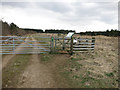 Access to Cranwich Heath