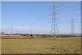 Pylons crossing farmland