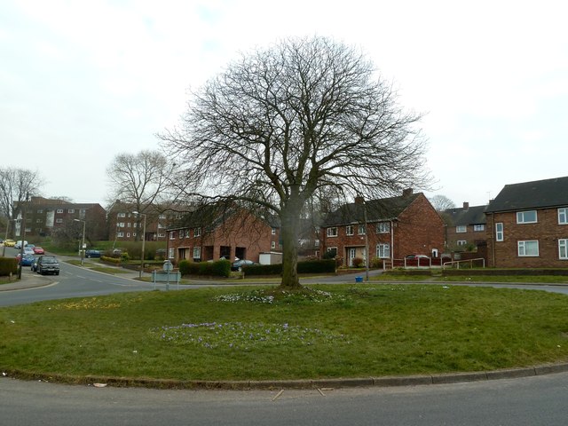 Roundabout in Broom Valley